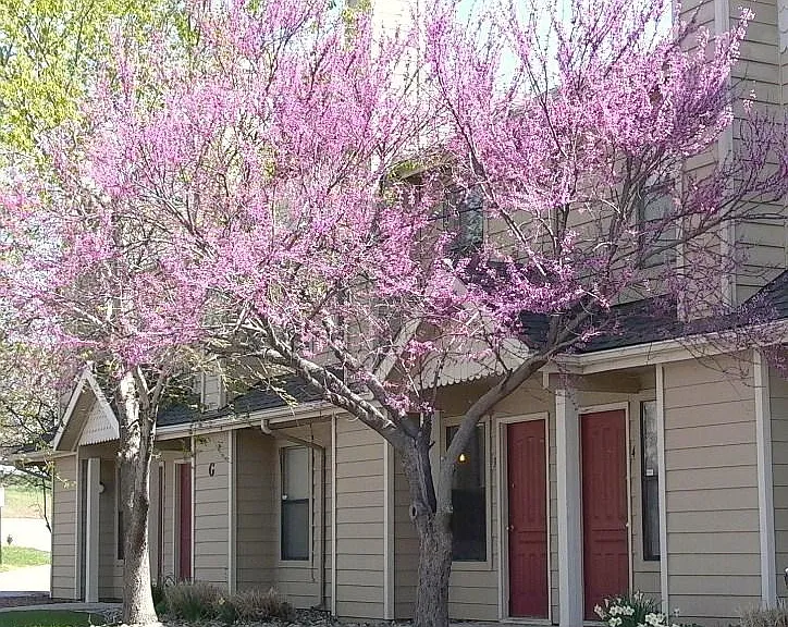 Lorimar Townhomes — Photo 2