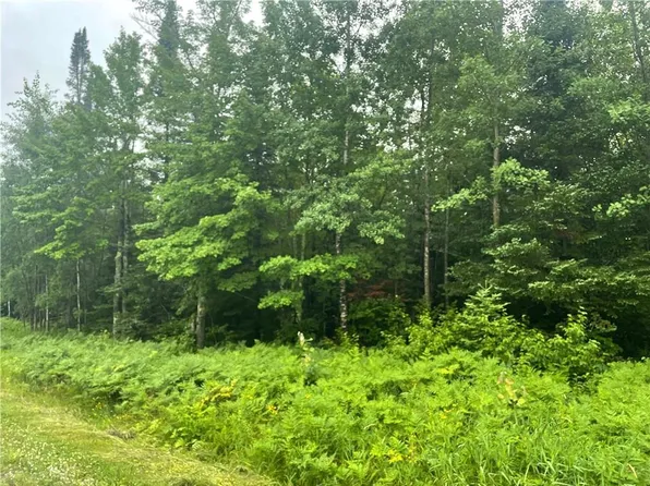 40 Acres Corner of Cty N and Mackenberg Rd, Glidden, WI 54527