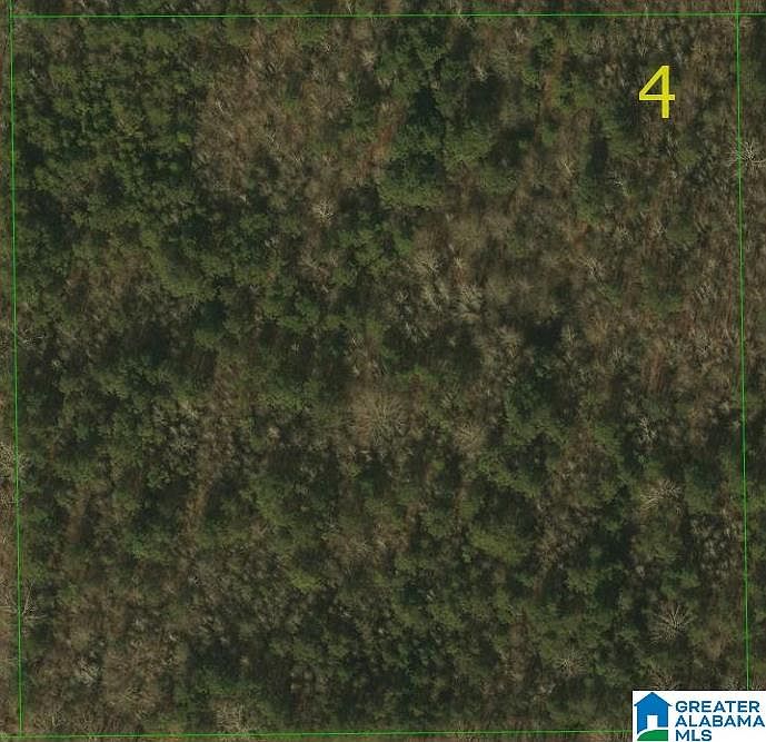1st image of 0 Highway 61 #4