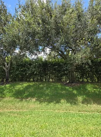 3 bed, 2.0 bath, $3,200 — Photo 2