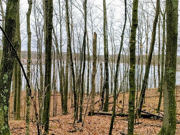 3rd image of Lots 1 & 2 Spider Lake Drive