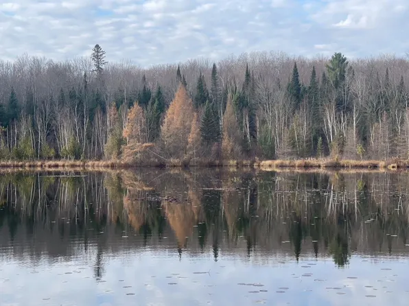 14463 Angel Crest Ln, Lakewood, WI 54138