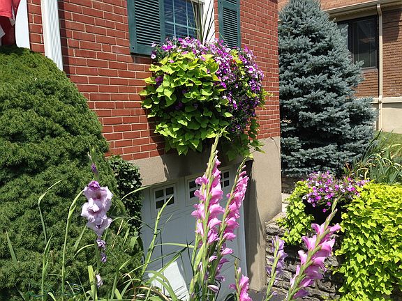 professional mature landcape