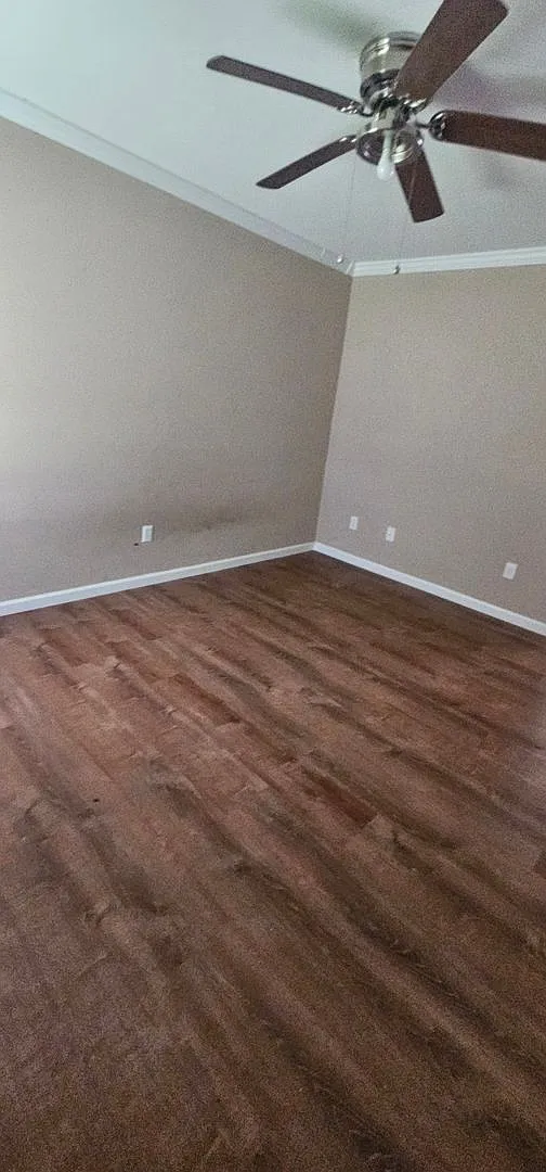 Stewart St. 5-Plex — Photo 4