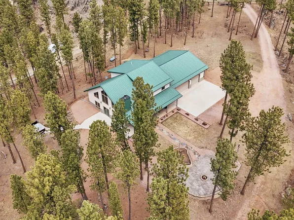 12388 Little Tiger Ln, Hill City, SD 57745