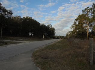 16865 NE 27 Pl Rd, Ocklawaha, FL 32179