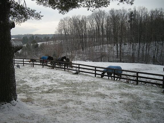 Backyard to the right 