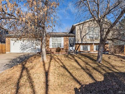 8773 W Star Drive, Littleton, CO, 80128