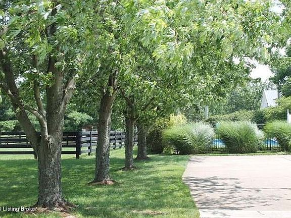 3rd image of 25 Plantation Dr