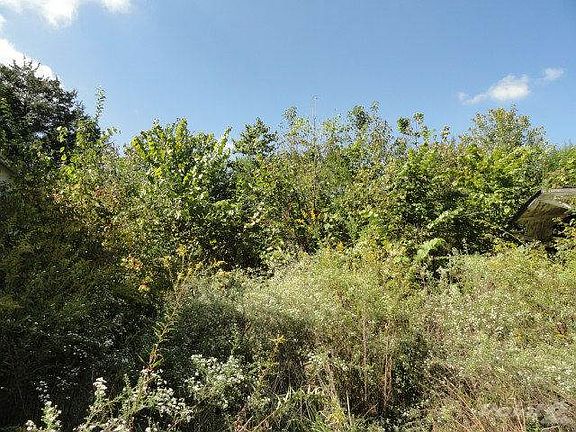 5 - property view