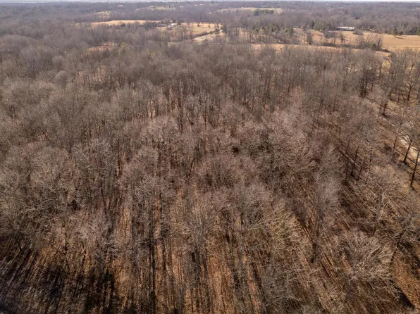 0 County Road 482, Poplar Bluff, MO 63901