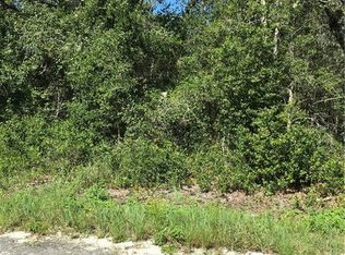 35217 Grindstone Dr, Webster, FL 33597