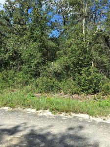 35217 Grindstone Dr, Webster, FL, 33597