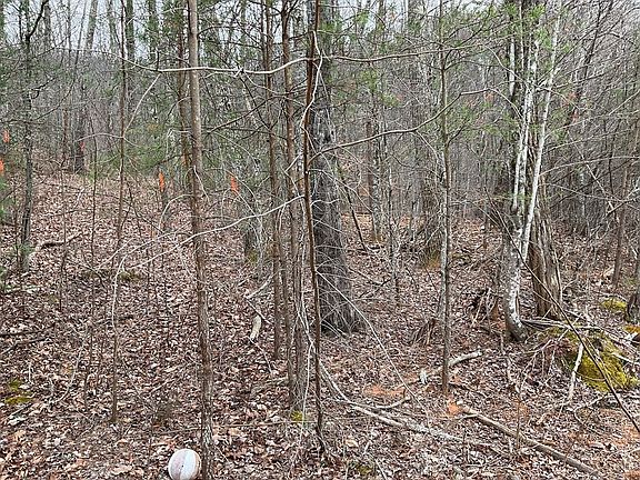4th image of 1441 Blue Springs Way