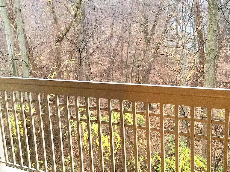 307 Tall Pines Ct #L — Photo 10