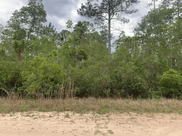 0 W Basford Street, Interlachen, FL 32148