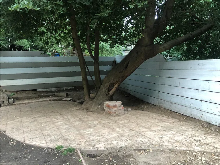 Mary Alice Way — Photo 7