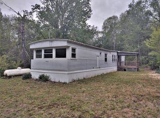 22343 Hayes Rd, Big Rapids, MI 49307