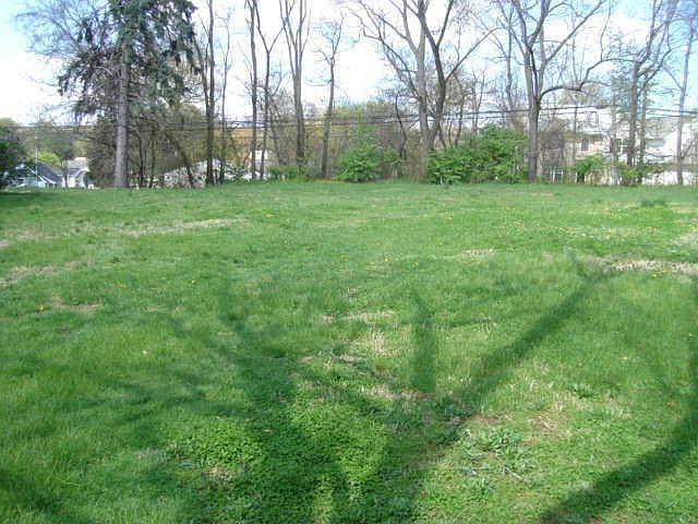 LAND PHOTO # 1