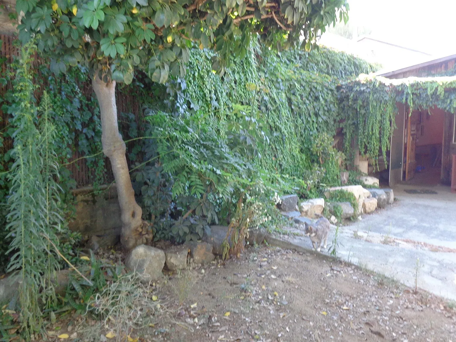 1 bed, 1.0 bath, 400 sqft, $1,700 — Photo 2
