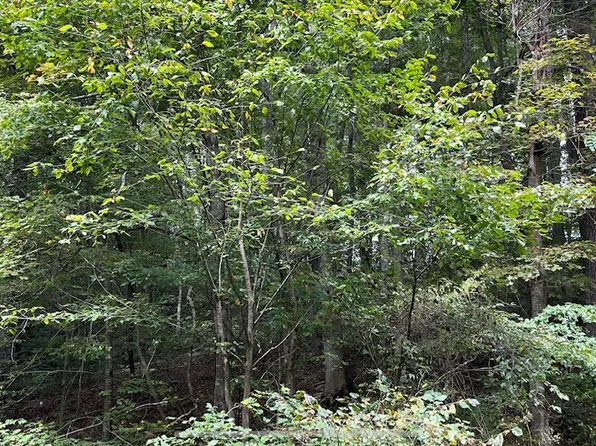 LOT 266 Hellbender Ln, Scottsville, KY 42164