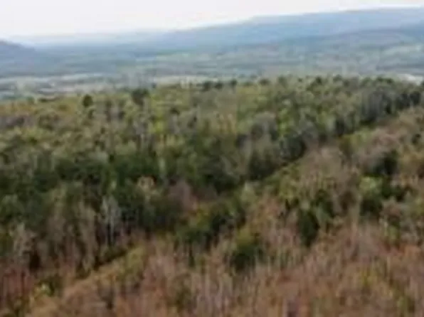 (undisclosed Address), Dover, AR 72837