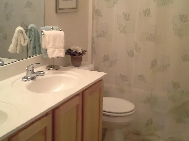 Upstairs Bathroom BEFORE remodeling. Layout is the same though.