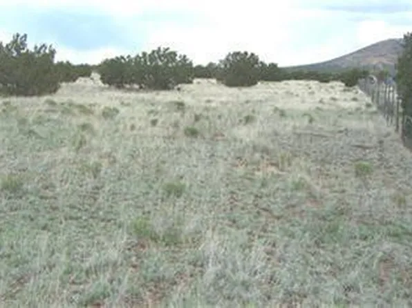 917 E Kron Dr, Williams, AZ 86046