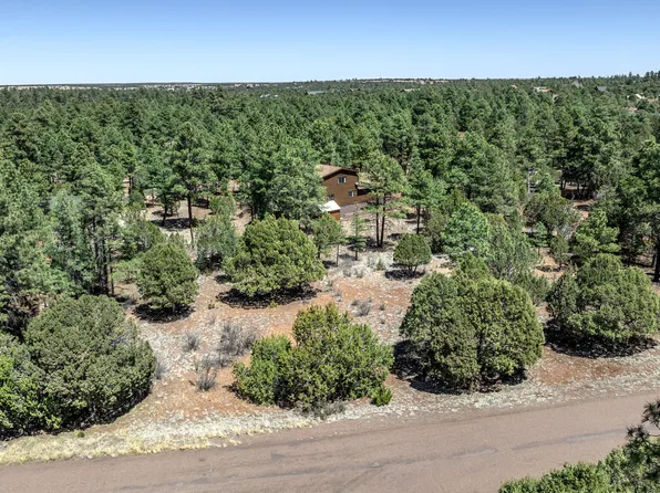 2244 Roundabout Way, Overgaard, AZ 85933