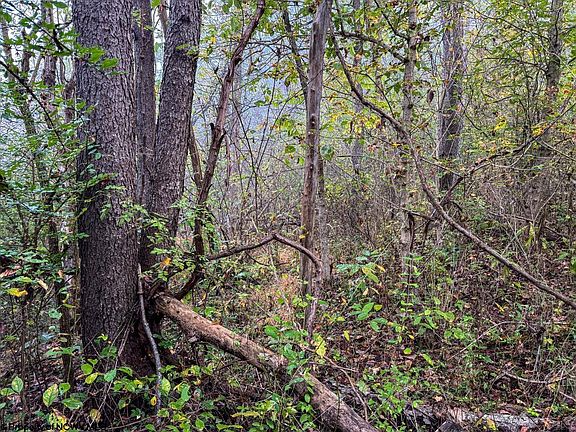 2nd image of LOT 1 Pickhandle Hill Rd