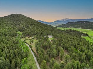 3763 County Road 43, Bailey, CO 80421