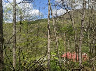 0 Brown Branch Rd, Bryson City, NC 28713