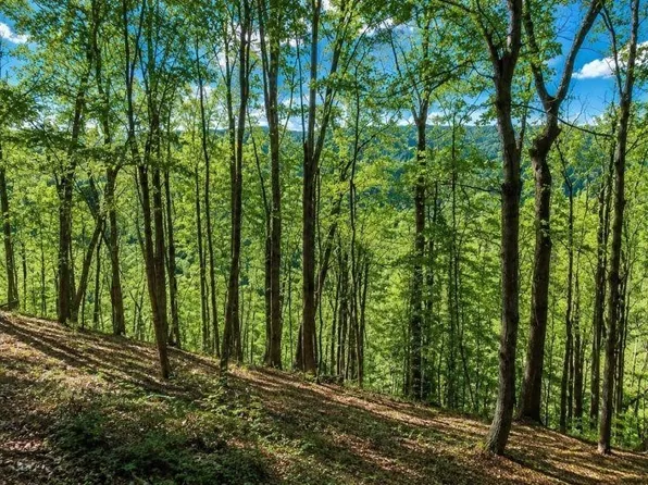 0 Savannah Dr Lot 4, Smithville, TN 37166