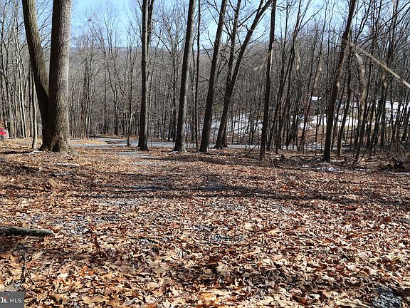 4th image of LOT 78 Timberline Dr #B