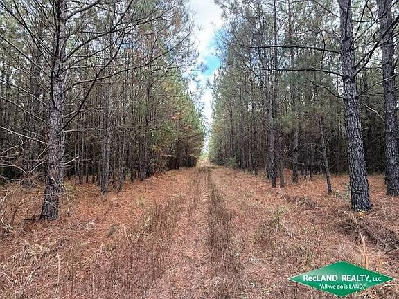 5th image of 0 Tram Rd