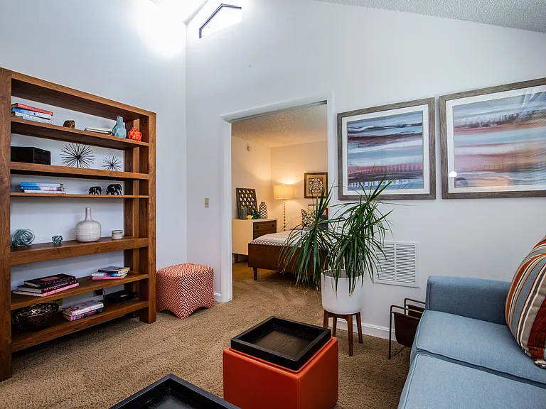 Built-In Bookshelves