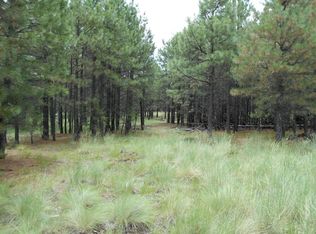 1005 State Route 260, Heber, AZ 85931