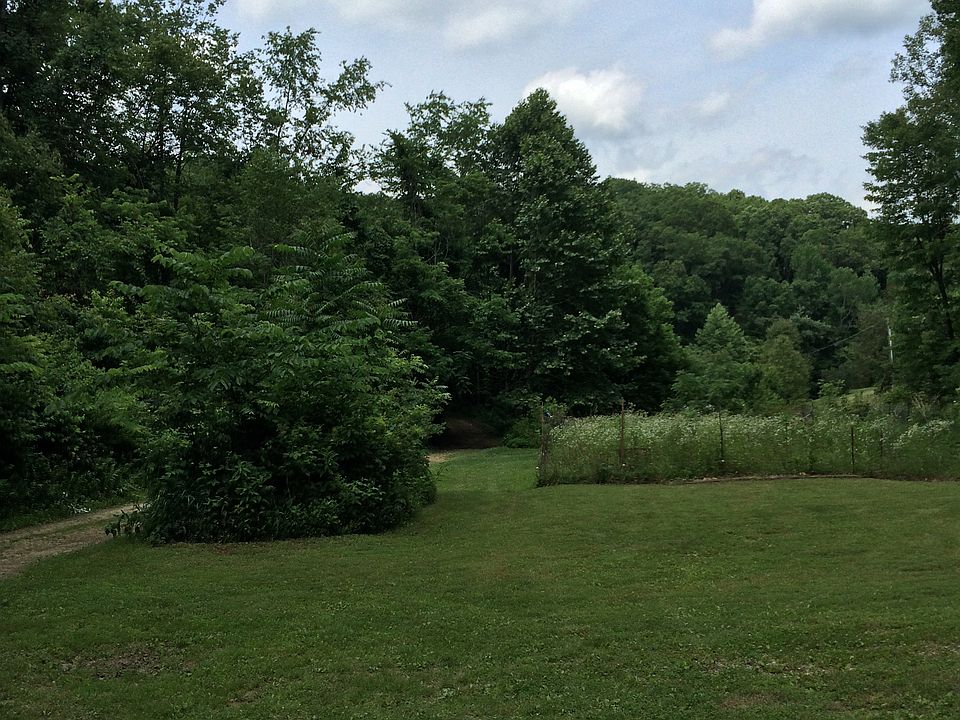 Clearing for building a home