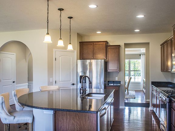 Model Representation