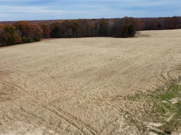 TRACT 4 Polston Ln, Marthasville, MO 63357