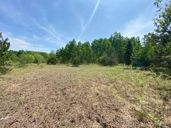 0 Tope Ln, Mancelona, MI 49659