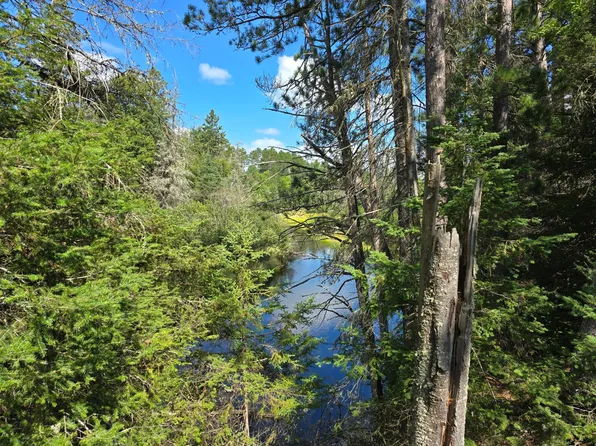 Off Hwy #45, Land O Lakes, WI 54540