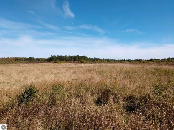 PARCEL Putnam Rd #B, Hale, MI 48739