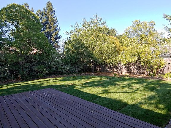 Backyard from deck