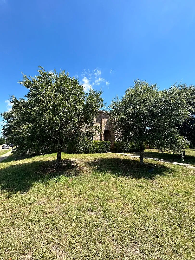 1253 Tall Grass Dr — Photo 3