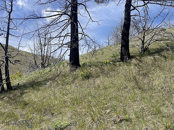2nd image of 414 Skyline Rd