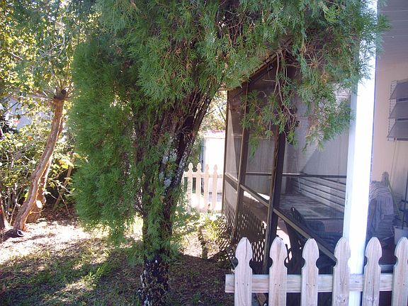 Along porch and side yard