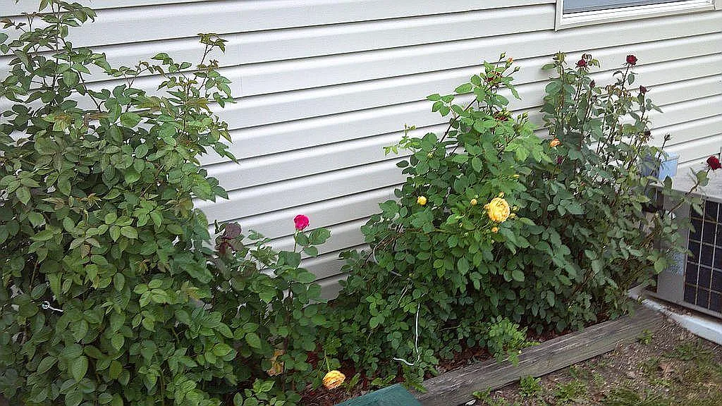 Property photo 2