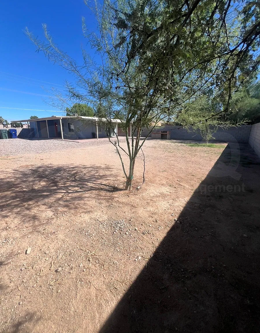 1 bed, 1.0 bath, 475 sqft, $1,199 — Photo 3