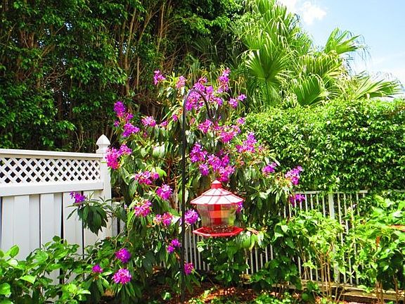 Serenity garden yard